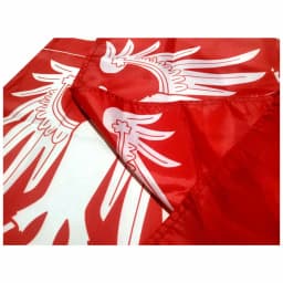 Austria Imperial Standard Flags 21X21CM 2X2FT 4X4FT 120X120CM Imperial Standard Infantry Pattern Mix Early 19th Century Banner
