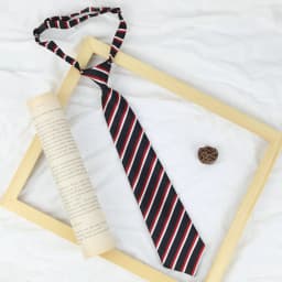 33*6cm/13*13cm JK Ties Women Plaid Neck Tie Girls Japanese Style for Jk Uniform Cute Necktie Plaid Uniform School Accessories