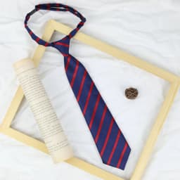33*6cm/13*13cm JK Ties Women Plaid Neck Tie Girls Japanese Style for Jk Uniform Cute Necktie Plaid Uniform School Accessories