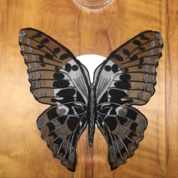 1Pc Black Butterfly Collar Embroidered Wedding Gown Appliques Lace Fabric Sew On Patches For Dress DIY Decoration