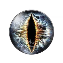 10pcs/lot 10mm/12mm/14mm/16mm/18mm/20mm/25mm Animal Cat Dragon Eyes Handmade Photo Round Glass Cabochons Jewelry Accessories