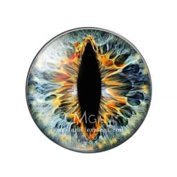 10pcs/lot 10mm/12mm/14mm/16mm/18mm/20mm/25mm Animal Cat Dragon Eyes Handmade Photo Round Glass Cabochons Jewelry Accessories