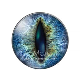 10pcs/lot 10mm/12mm/14mm/16mm/18mm/20mm/25mm Animal Cat Dragon Eyes Handmade Photo Round Glass Cabochons Jewelry Accessories