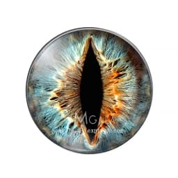 10pcs/lot 10mm/12mm/14mm/16mm/18mm/20mm/25mm Animal Cat Dragon Eyes Handmade Photo Round Glass Cabochons Jewelry Accessories