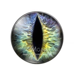 10pcs/lot 10mm/12mm/14mm/16mm/18mm/20mm/25mm Animal Cat Dragon Eyes Handmade Photo Round Glass Cabochons Jewelry Accessories