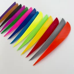 IBOUNFOX 50Pcs 4" Turkey Feather Fletching Right/Left Wings Archery Hunting Arrow Feathers DIY Carbon Woonden Arrow Vanes