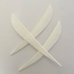 IBOUNFOX 50Pcs 4" Turkey Feather Fletching Right/Left Wings Archery Hunting Arrow Feathers DIY Carbon Woonden Arrow Vanes