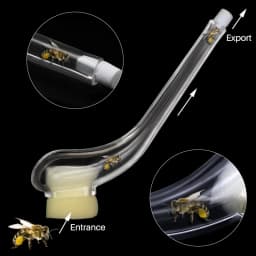 2PCS Beekeeping King Bee Catcher Catching Queen Cage Device Catch King Apicultura Rearing System Bee Supplies