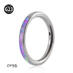 1PC G23 Titanium/316L Stainless Steel Hinged Clicker Nose Septum Opal Hoop Eyebrow Lip Ear Rings Body Piercing Jewelry