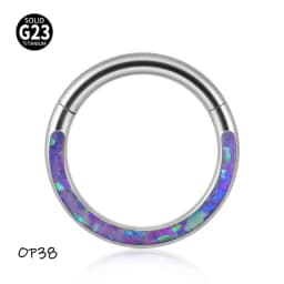 1PC G23 Titanium/316L Stainless Steel Hinged Clicker Nose Septum Opal Hoop Eyebrow Lip Ear Rings Body Piercing Jewelry
