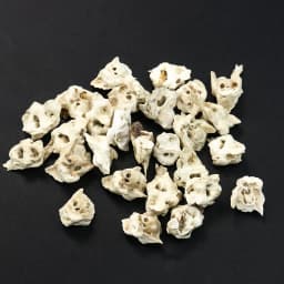 Natural Rough Pig Bone Loose Beads Irregular Charms DIY Woman Man Birthday Bracelet Necklace Earrings Jewelry Making Accessories