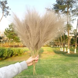 5Pcs Faux Pampas Grass Large 120/100/85cm Flower Bouquet Fake Artificial Pampas Grass Decor Tall Fluffy Stems Living Room Decor