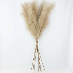5Pcs Faux Pampas Grass Large 120/100/85cm Flower Bouquet Fake Artificial Pampas Grass Decor Tall Fluffy Stems Living Room Decor