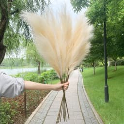 5Pcs Faux Pampas Grass Large 120/100/85cm Flower Bouquet Fake Artificial Pampas Grass Decor Tall Fluffy Stems Living Room Decor