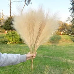 5Pcs Faux Pampas Grass Large 120/100/85cm Flower Bouquet Fake Artificial Pampas Grass Decor Tall Fluffy Stems Living Room Decor