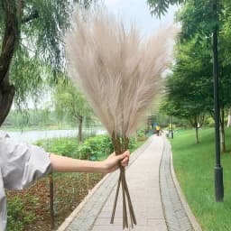5Pcs Faux Pampas Grass Large 120/100/85cm Flower Bouquet Fake Artificial Pampas Grass Decor Tall Fluffy Stems Living Room Decor