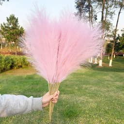 5Pcs Faux Pampas Grass Large 120/100/85cm Flower Bouquet Fake Artificial Pampas Grass Decor Tall Fluffy Stems Living Room Decor