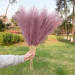 5Pcs Faux Pampas Grass Large 120/100/85cm Flower Bouquet Fake Artificial Pampas Grass Decor Tall Fluffy Stems Living Room Decor