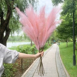 5Pcs Faux Pampas Grass Large 120/100/85cm Flower Bouquet Fake Artificial Pampas Grass Decor Tall Fluffy Stems Living Room Decor