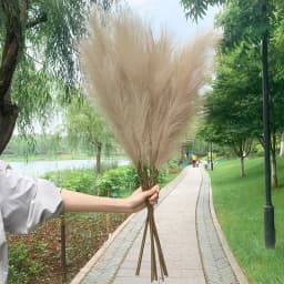 5Pcs Faux Pampas Grass Large 120/100/85cm Flower Bouquet Fake Artificial Pampas Grass Decor Tall Fluffy Stems Living Room Decor