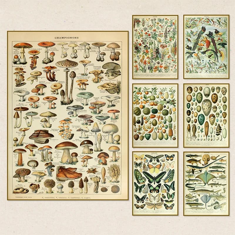 Vintage Palaeobios Botanical Retro Poster Insect Butterfly Mushrooms Canvas Oil Painting Wall Art Prints Wall Picture Home Decor