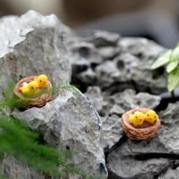 DIY Mini Nest with Birds Fairy Garden Miniatures Gnomes Moss Terrariums Resin Crafts Figurines