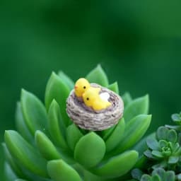 DIY Mini Nest with Birds Fairy Garden Miniatures Gnomes Moss Terrariums Resin Crafts Figurines