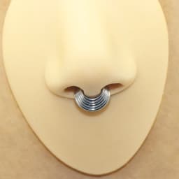 316L Surgical Steel Segment Nose Ring Septum Clicker Tragus Helix  Cartilage  Earrings  Body Piercing Jewelry for Women Men