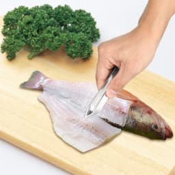 Fish Scales Scraping Graters Stainless Fast Cleaner Remove Skin Brush Cleaning Peeler Scraper Bone Scaler Tongs Tweezers Tool