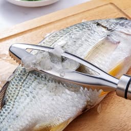 Fish Scales Scraping Graters Stainless Fast Cleaner Remove Skin Brush Cleaning Peeler Scraper Bone Scaler Tongs Tweezers Tool