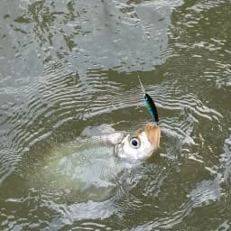 OUTKIT New Sinking Pencil Lure Freshwater Diving Artificial Trembling Fake Bait For Trout Pike Perch Tackle Creek Wobblers