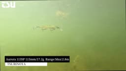 TSURINOYA 115SP Suspending Minnow Jerkbait AURORA 115mm 17.2g Artificial Weight System Hard Baits Long Casting Wobbler