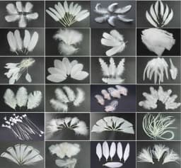 50Pcs/Lot! White Ostrich Goose Pheasant Feathers for Crafts Chicken Turkey Feather Wedding Party Accessories Decoration Plumes