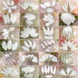 50Pcs/Lot! White Ostrich Goose Pheasant Feathers for Crafts Chicken Turkey Feather Wedding Party Accessories Decoration Plumes