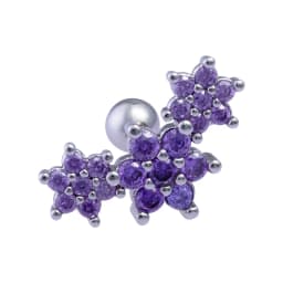 1PC Cartilage Earring for Women Stainless Steel Crystal CZ Flower Helix Ear Studs Punk Ear Piercing 16G Tragus Conch Bar Jewelry