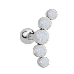1PC Cartilage Earring for Women Stainless Steel Crystal CZ Flower Helix Ear Studs Punk Ear Piercing 16G Tragus Conch Bar Jewelry