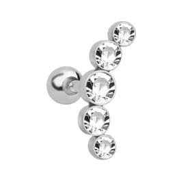 1PC Cartilage Earring for Women Stainless Steel Crystal CZ Flower Helix Ear Studs Punk Ear Piercing 16G Tragus Conch Bar Jewelry