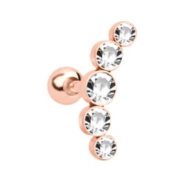 1PC Cartilage Earring for Women Stainless Steel Crystal CZ Flower Helix Ear Studs Punk Ear Piercing 16G Tragus Conch Bar Jewelry
