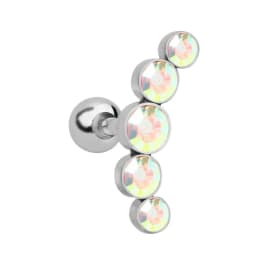 1PC Cartilage Earring for Women Stainless Steel Crystal CZ Flower Helix Ear Studs Punk Ear Piercing 16G Tragus Conch Bar Jewelry