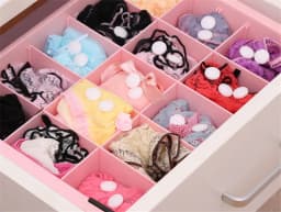 1 Bag Natural Camphor Ball Naphthalene Mothball Natural Mothballs Anti-mold Moth Repellent Pest Control Wardrobe Drawer