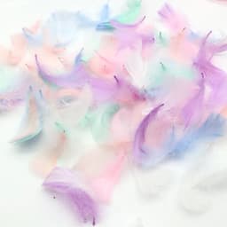 100Pcs Natural Small Floating Feather 4-8cm Floating Goose Down Color Feather Wedding Dress Dream Net Decoration Accessories