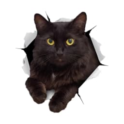 S30979# Self-adhesive Decal RESTING BLACK CAT Car Sticker Motorcycle Laptop Waterproof Auto Decors on Bumper Rear Window