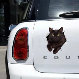 S30979# Self-adhesive Decal RESTING BLACK CAT Car Sticker Motorcycle Laptop Waterproof Auto Decors on Bumper Rear Window