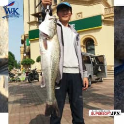 Texas Black Minnow M07 for Walleye and Bass Fishing 7 cm Soft Lure 6.5g Weedless Head Super Soft Shad Lure with 1 0 Worm Ho