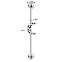 AOEDEJ Industrial Piercing Earring Women Stainless Steel Helix Ear Piercing Dragon Snake Long Earring Jewelry Barbell Earring