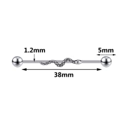 AOEDEJ Industrial Piercing Earring Women Stainless Steel Helix Ear Piercing Dragon Snake Long Earring Jewelry Barbell Earring