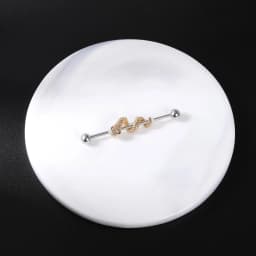 AOEDEJ Industrial Piercing Earring Women Stainless Steel Helix Ear Piercing Dragon Snake Long Earring Jewelry Barbell Earring