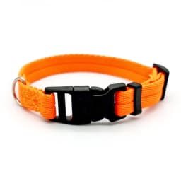 Nylon Webbing Dog Collar Fashion Buckle Pet Collar for Small Medium Dogs Chihuahua Dog Red Black Blue Orange Pet Accessory