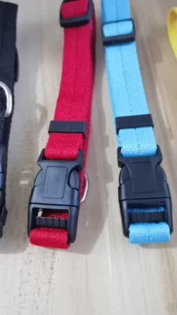 Nylon Webbing Dog Collar Fashion Buckle Pet Collar for Small Medium Dogs Chihuahua Dog Red Black Blue Orange Pet Accessory