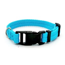 Nylon Webbing Dog Collar Fashion Buckle Pet Collar for Small Medium Dogs Chihuahua Dog Red Black Blue Orange Pet Accessory